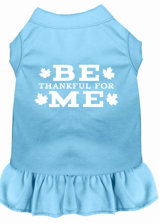 Be Thankful for Me Screen Print Dress Baby Blue XS